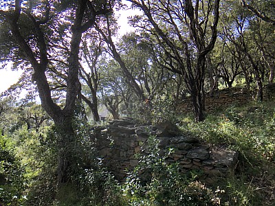 TERRAIN A VENDRE - BRANDO - 1660 m2 - 375 000 €