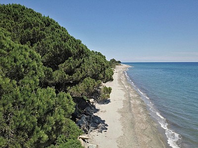 TERRAIN A VENDRE - CERVIONE - 1860 m2 - 70 000 €