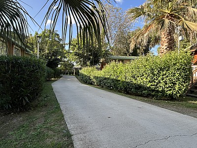 Chalet meublé A VENDRE - SORBO OCAGNANO - 30 m2 - 38 500 €