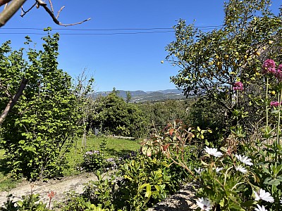 PROPRIETE A VENDRE - PORTICCIO - 515.82 m2 - 1 490 000 €
