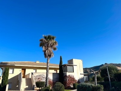 APPARTEMENT T2 A VENDRE - LUMIO BALAGNE - 43 m2 - 298 000 €