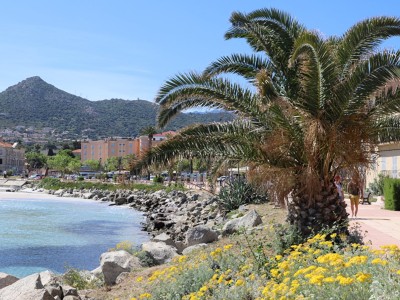 APPARTEMENT T1 A VENDRE - L ILE ROUSSE Centre-ville - 26 m2 - 105 000 €