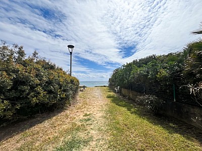 APPARTEMENT T2 A VENDRE - SANTA LUCIA DI MORIANI - 39 m2 - 135 000 €