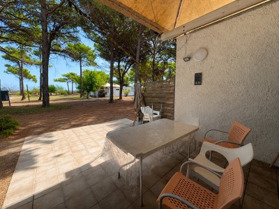 APPARTEMENT T3 A VENDRE - BORGO - 30 m2 - 108 000 €