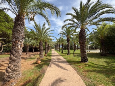 APPARTEMENT T3 A VENDRE - BORGO - 30 m2 - 108 000 €