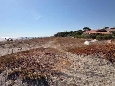 STUDIO A VENDRE - BORGO - 31.09 m2 - 121 000 €