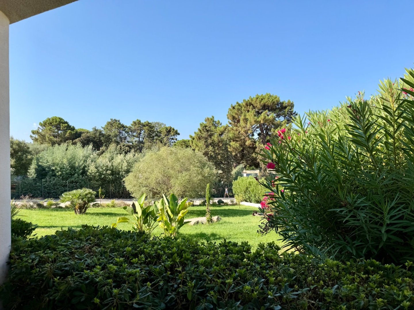 appartement T2 A VENDRE - GROSSETO PRUGNA - 35 m2 - 249 000 &euro;