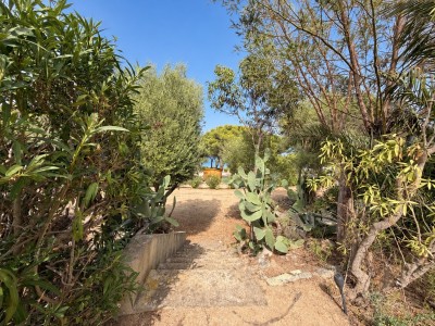 PLAIN PIED A VENDRE - LUMIO VACCAGHJA - 23.09 m2 - 237 000 €