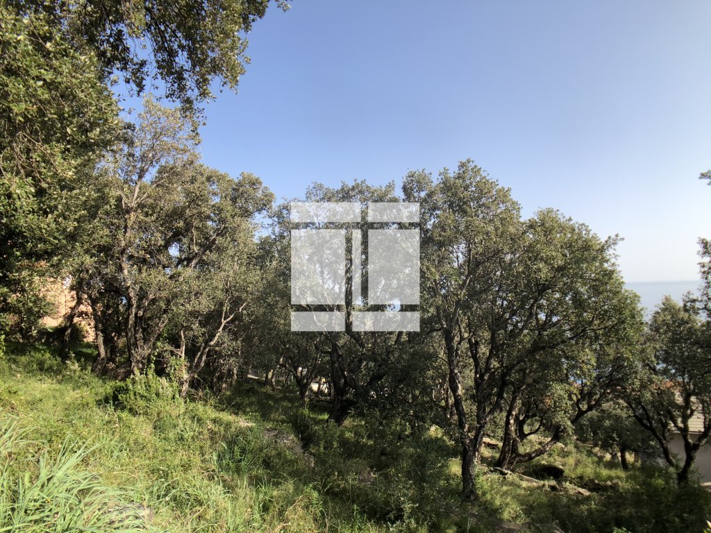 TERRAIN A VENDRE - BRANDO - 1660 m2 - 375 000 &euro;