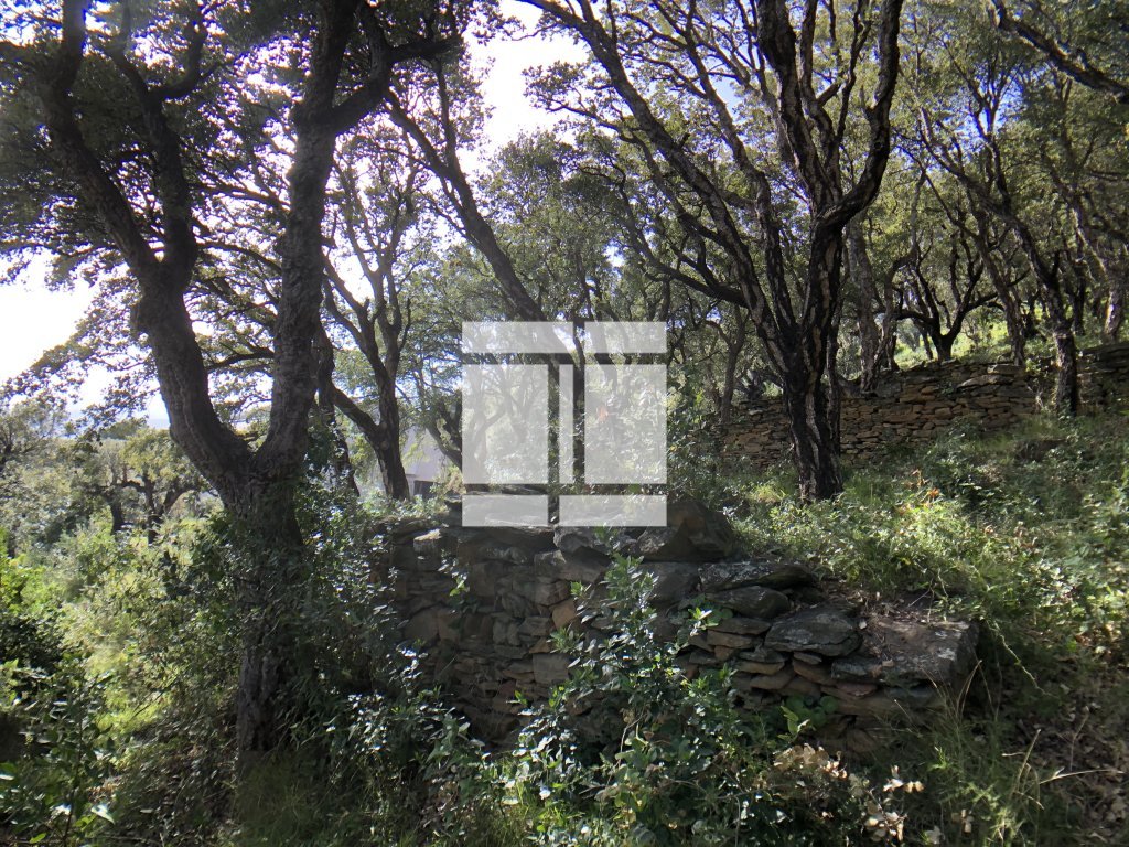 TERRAIN A VENDRE - BRANDO - 1660 m2 - 375 000 &euro;