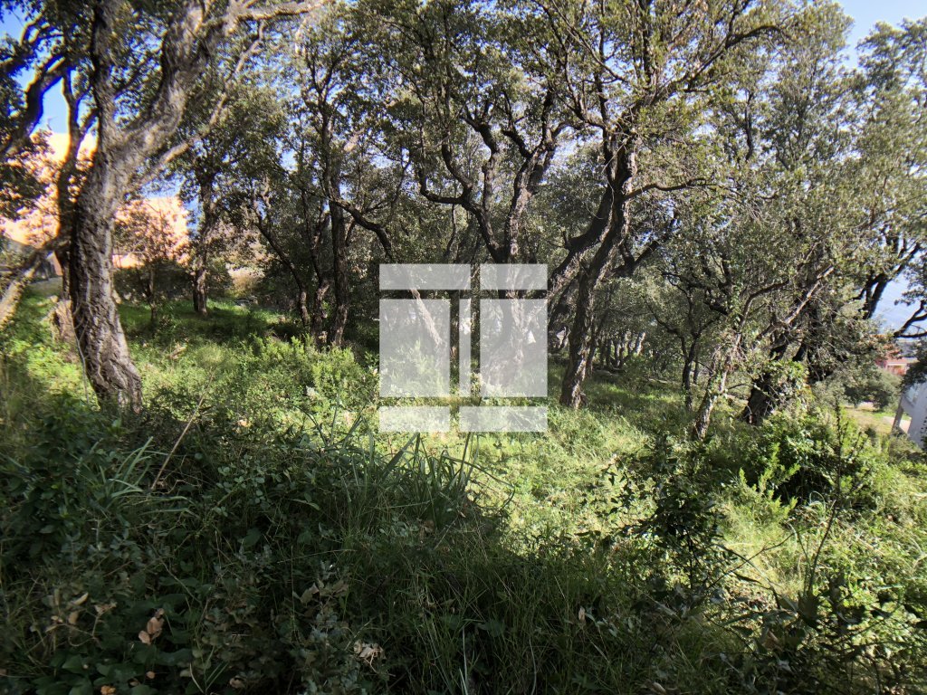 TERRAIN A VENDRE - BRANDO - 1660 m2 - 375 000 &euro;
