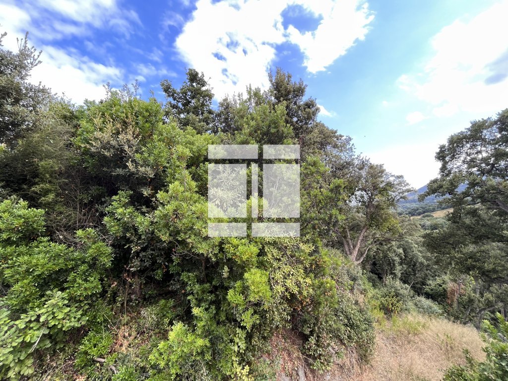 TERRAIN A VENDRE - CERVIONE - 1860 m2 - 70 000 &euro;