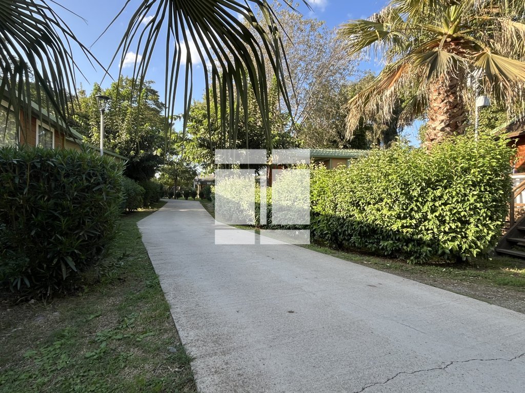 Chalet meublé A VENDRE - SORBO OCAGNANO - 30 m2 - 38 500 &euro;
