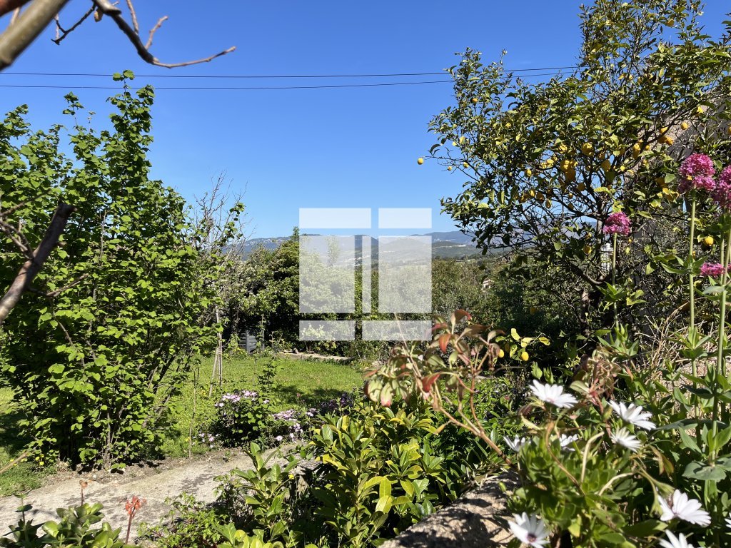 PROPRIETE A VENDRE - PORTICCIO - 515.82 m2 - 1 490 000 &euro;