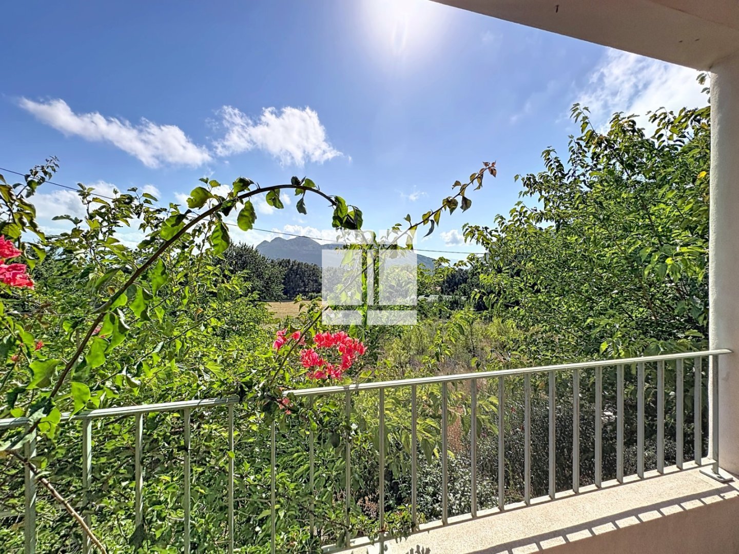 APPARTEMENT T2 A VENDRE - PATRIMONIO - 42 m2 - 149 000 &euro;