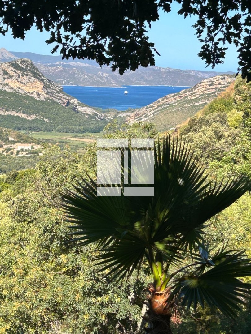 VILLA A VENDRE - BARBAGGIO - 210 m2 - 750 000 &euro;