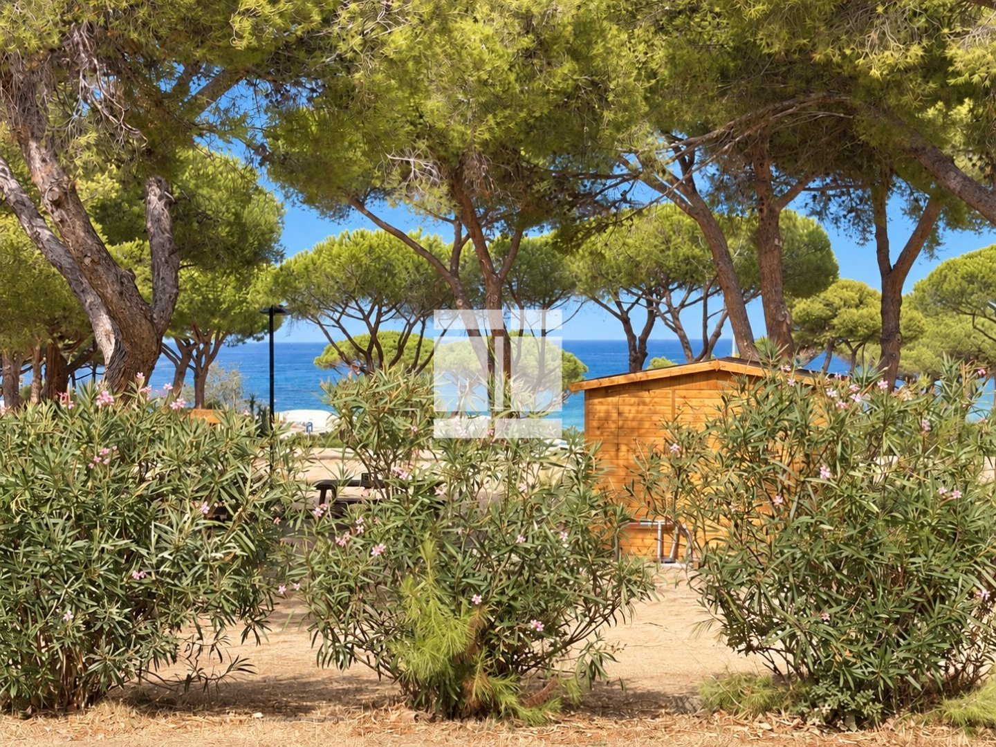 PLAIN PIED A VENDRE - LUMIO VACCAGHJA - 23.09 m2 - 237 000 &euro;