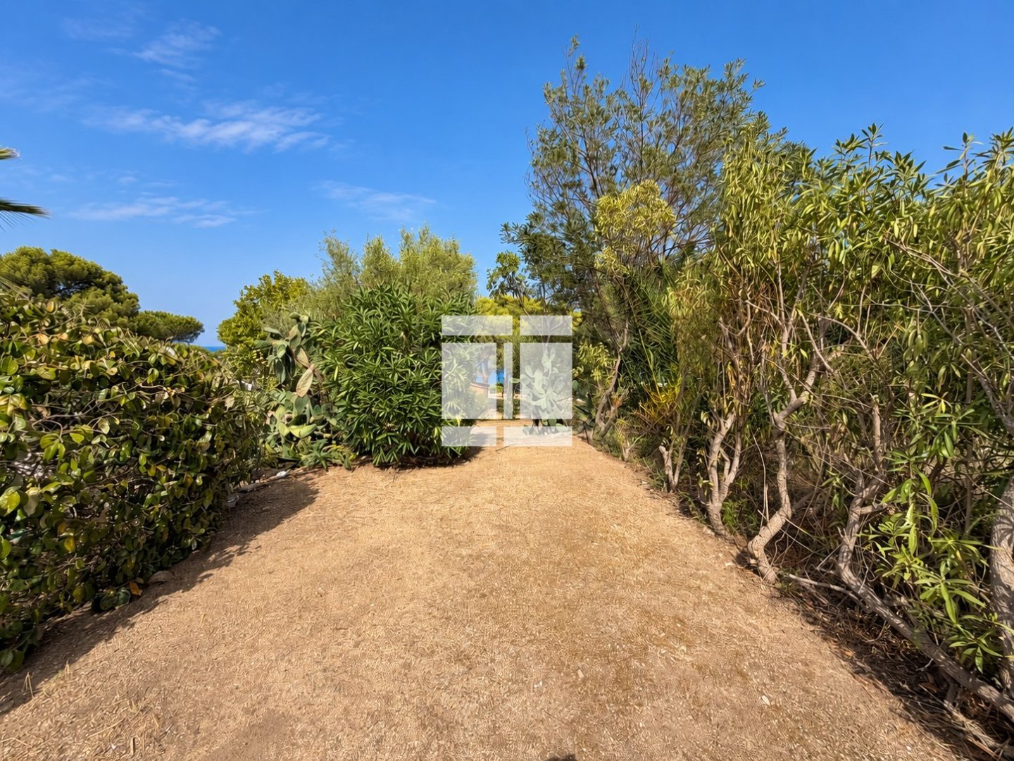 PLAIN PIED A VENDRE - LUMIO VACCAGHJA - 23.09 m2 - 237 000 &euro;