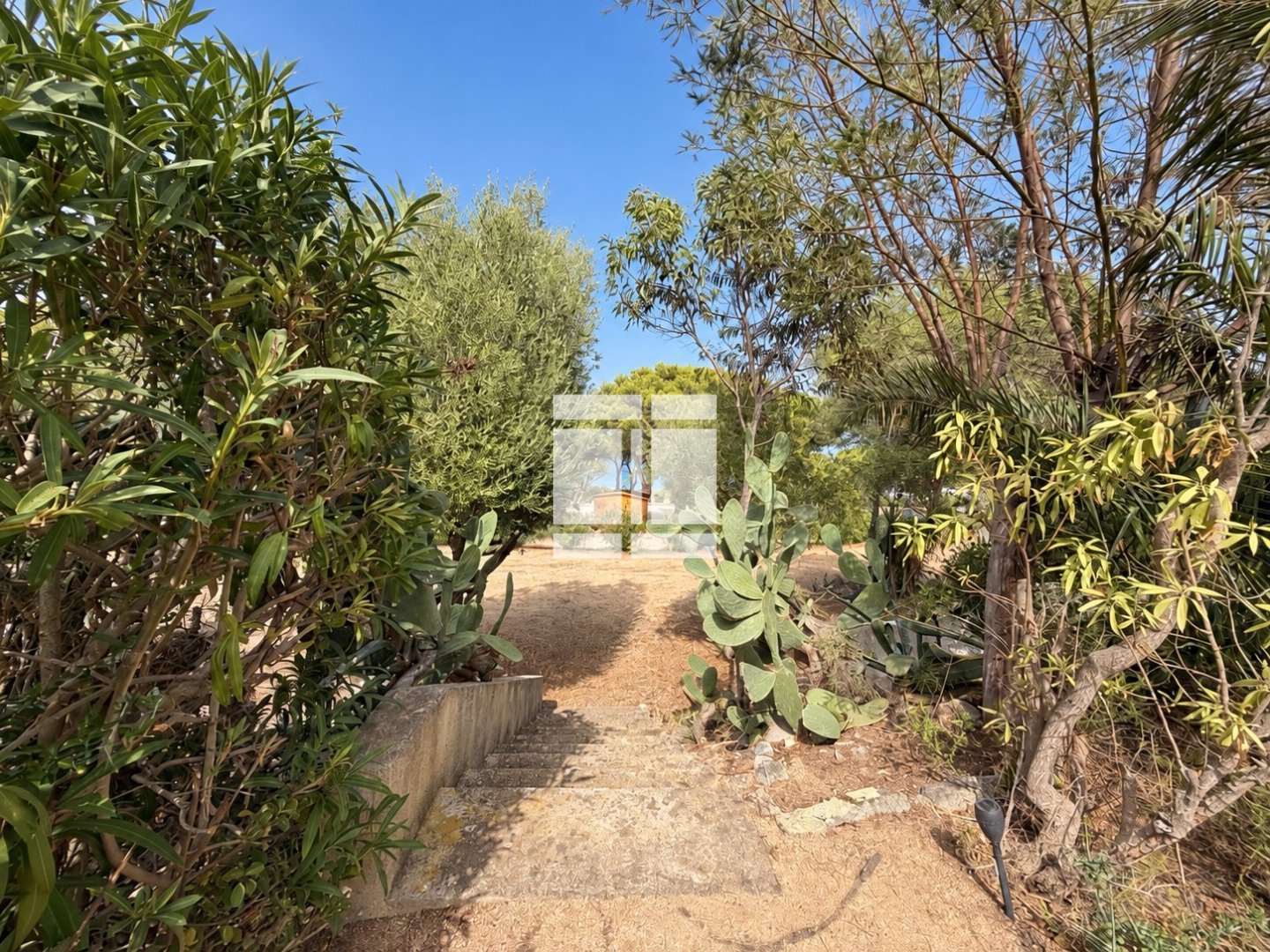 PLAIN PIED A VENDRE - LUMIO VACCAGHJA - 23.09 m2 - 237 000 &euro;