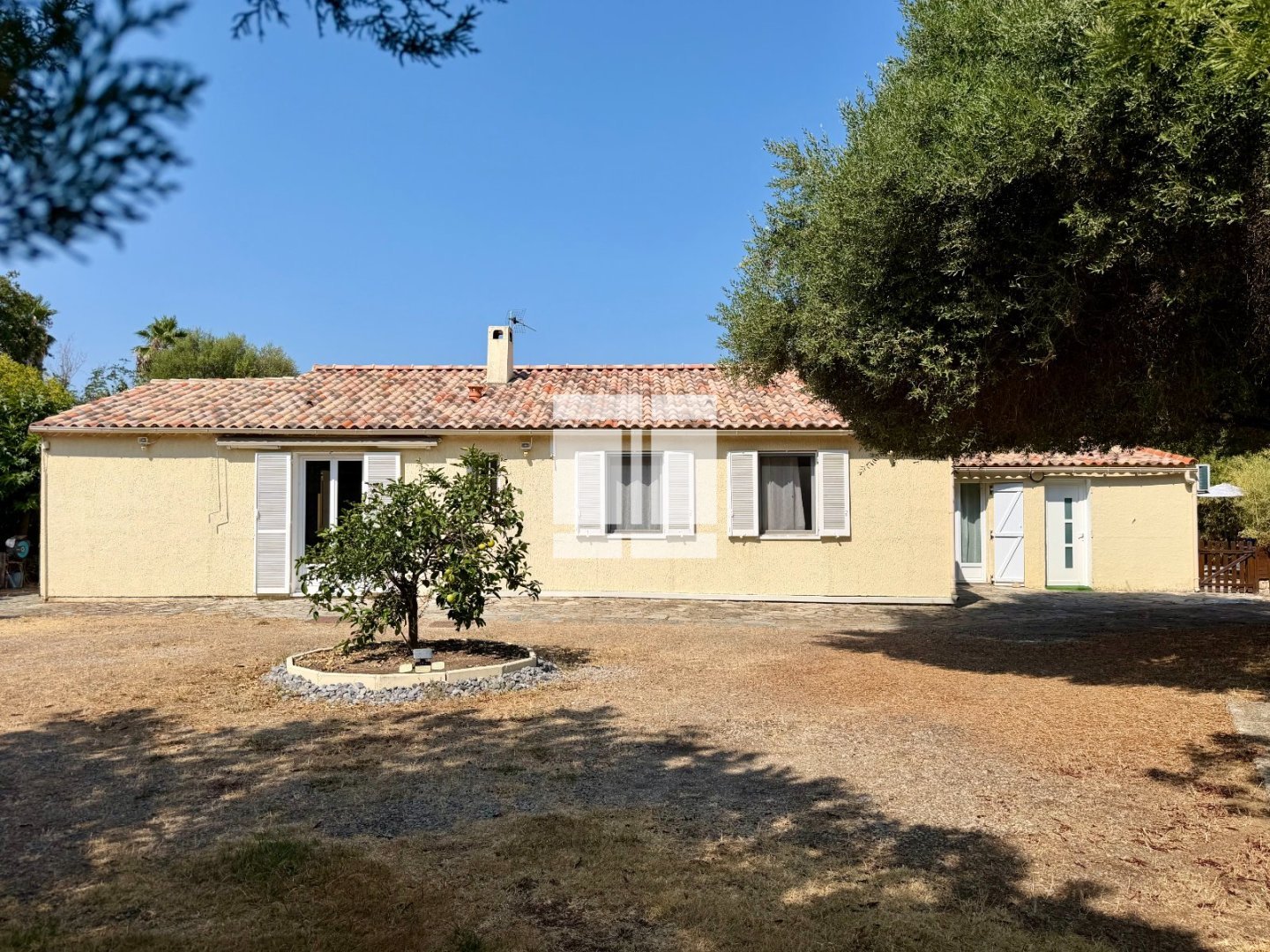 Villa de plain-pied - piscine - T2 indépendant A VENDRE - BASTELICACCIA - 155 m2 - 798 000 &euro;